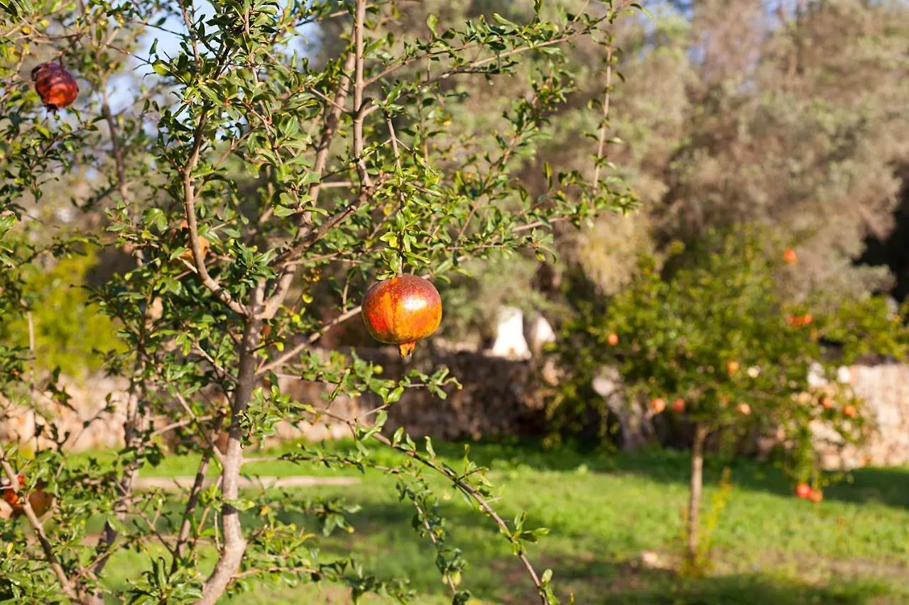 Farm stay Agroturisme Ca'N Gaia Villa Portocolom