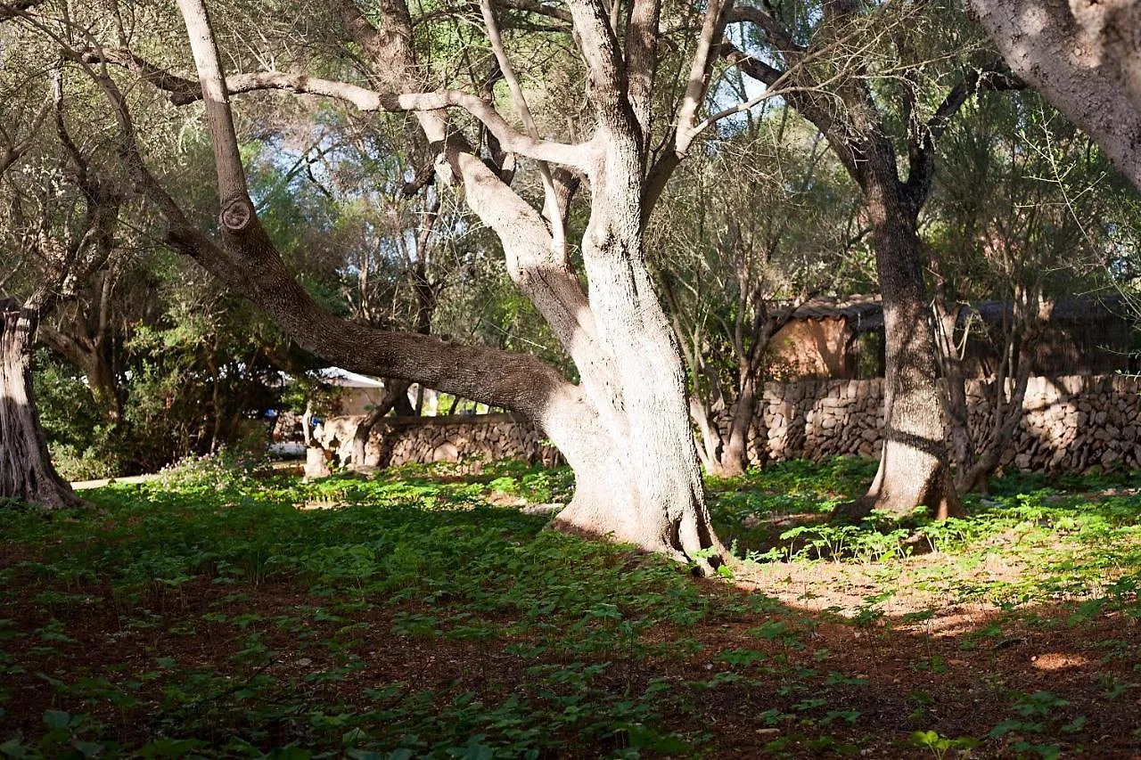 Agroturisme Ca'N Gaia Vila Porto Colom Espanha